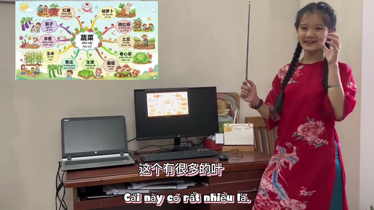 蔬菜-shū cài - rau củ