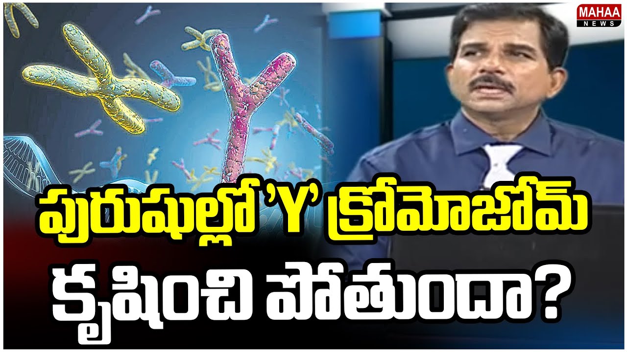 పురుషుల్లో 'Y' క్రోమోజోమ్ కృషించి పోతుందా? | Does the 'Y' Chromosome in Men Work? | Mahaa News