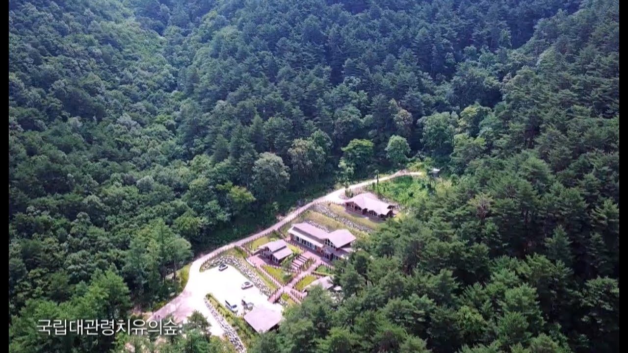 KBS 영상앨범 산_오대산 국립공원, 국립대관령치유의숲