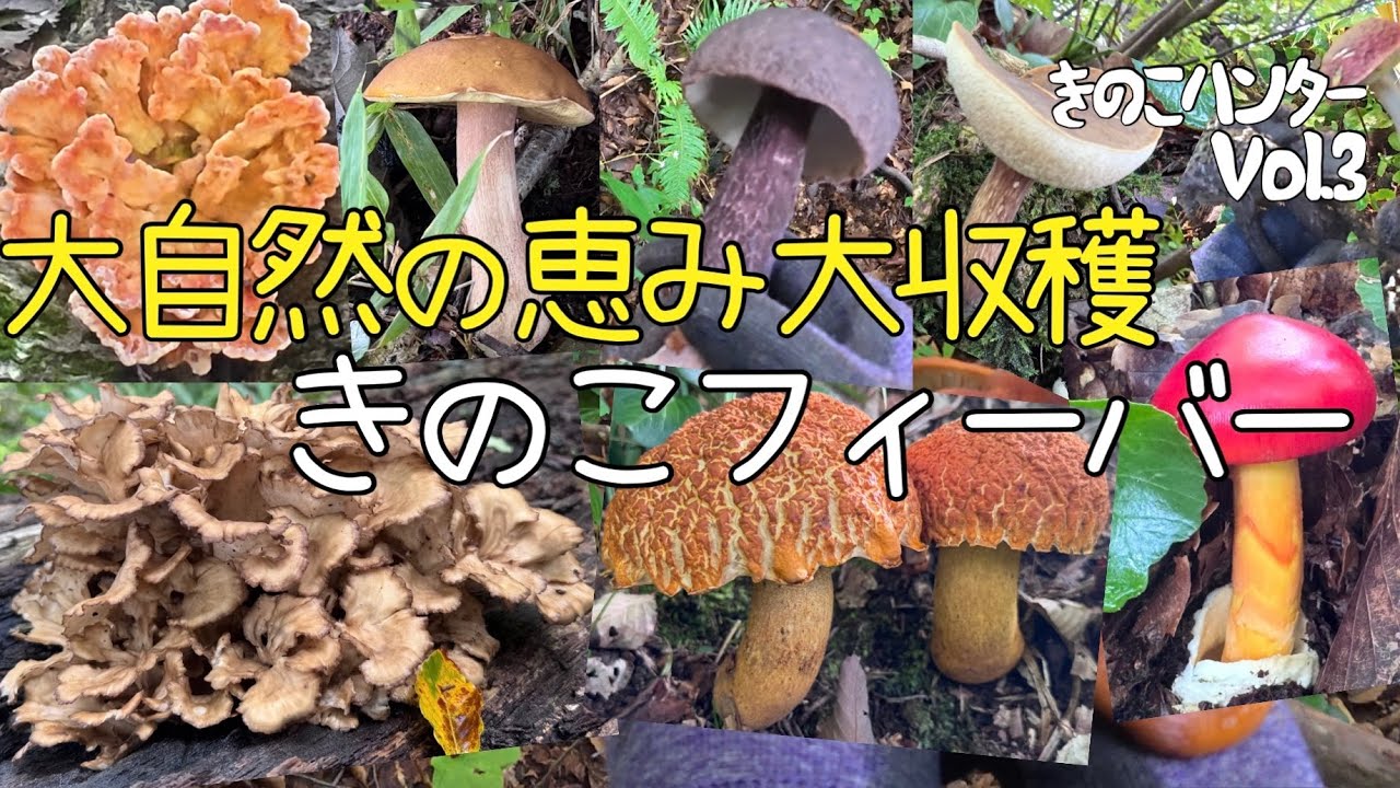 大自然の恵み大収穫〜きのこフィーバー〜
