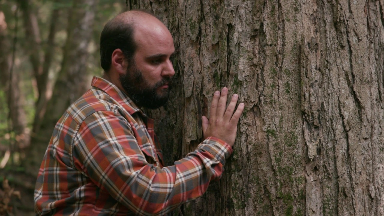 Learning Nature with Chris Lock - Ep. 6: Trees Again