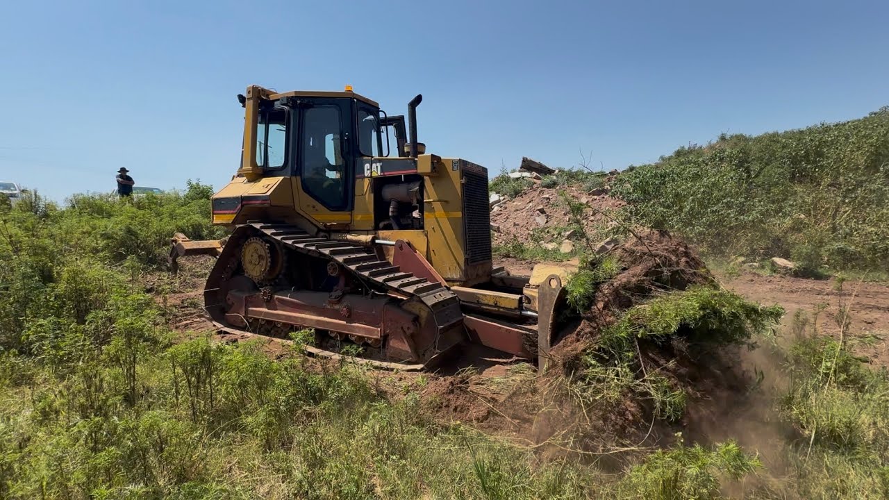 CAT in the Bush, D5M XL pushing dirt! #bulldozerofficial #dozer #earthmoving #construction 