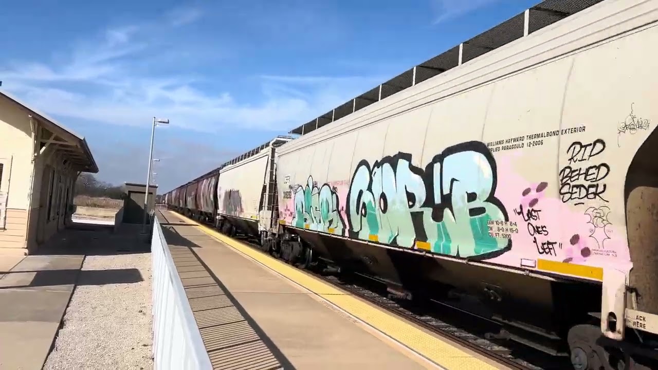 BNSF Grain Train with Canadian Pacific Power Flies Past McGregor Tx