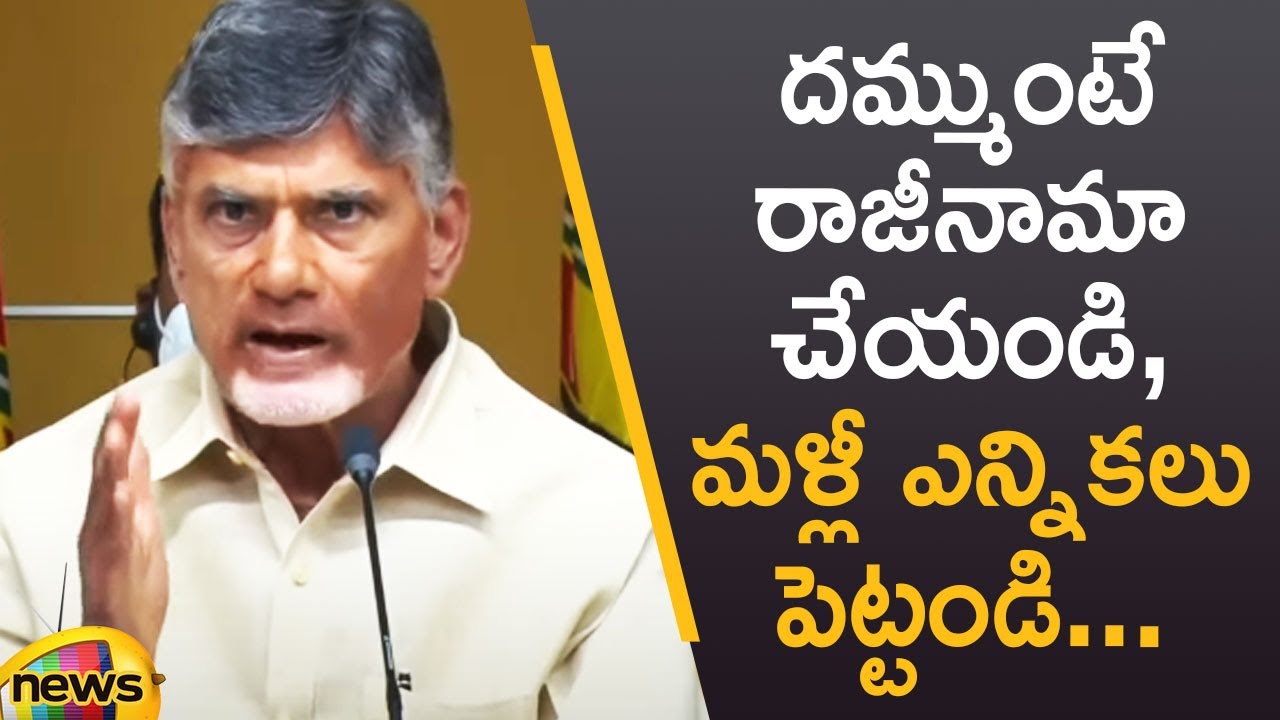 Chandrababu Naidu Open Challenge To Opposition | TDP Vs YCP | AP Politics | CM YS Jagan | Mango News