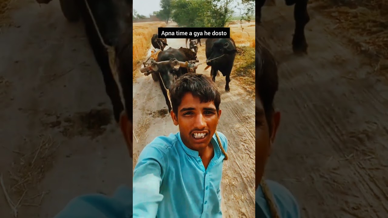 Faisal kamboh#viral#video