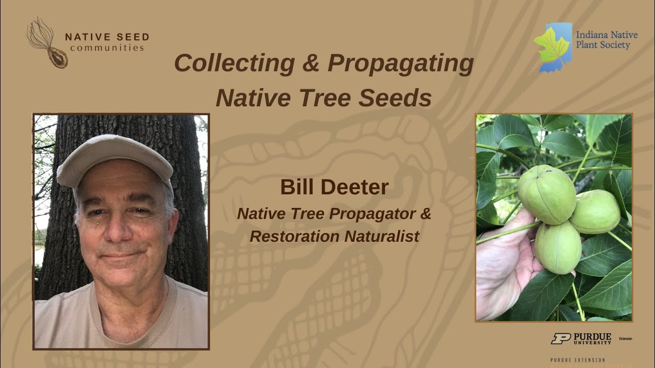 Collecting & Propagating Native Tree Seeds
