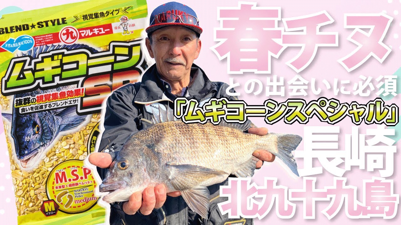 春チヌとの出会いに必須！「ムギコーンスペシャル」を駆使して長崎県北九十九島を攻略
