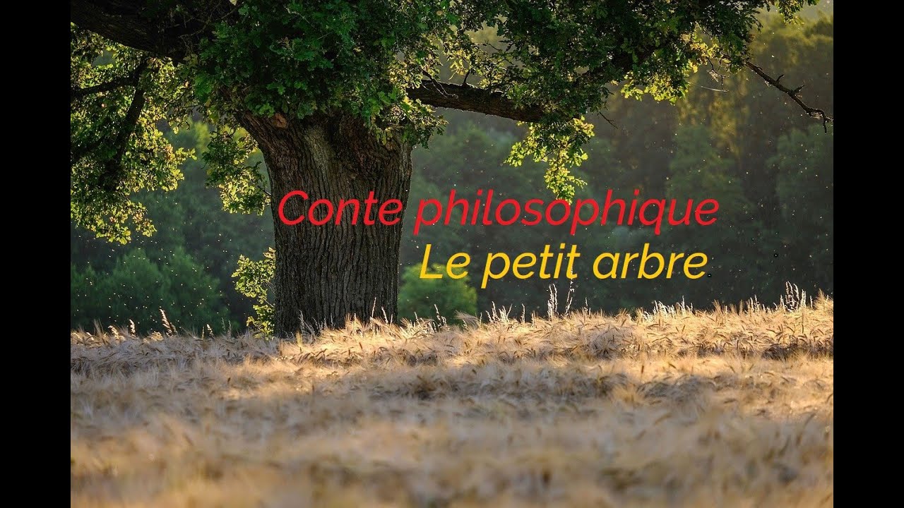 Conte philosophique -- Le petit arbre