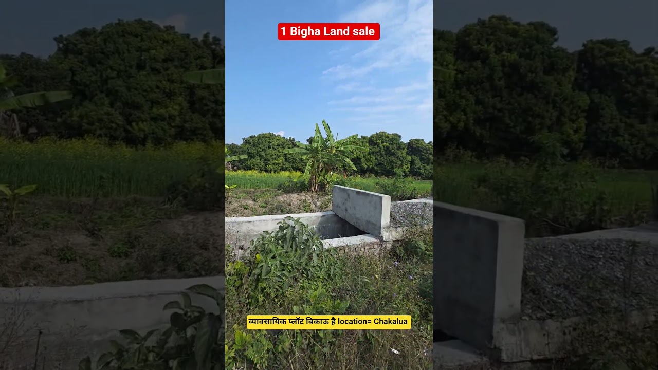 1 Bigha commercial Land  Sale Chakalua call 7055751686 