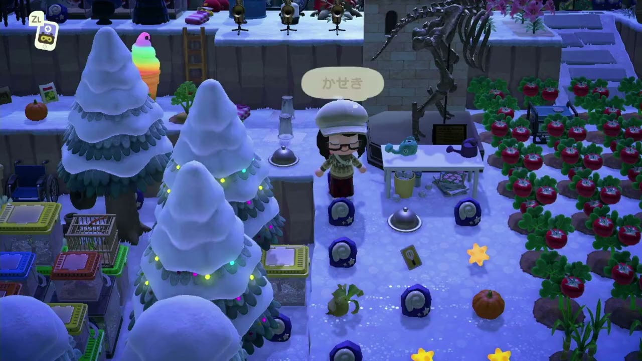 あつまれどうぶつの森　カウントダウンイベント寝過ごす　新年のご挨拶