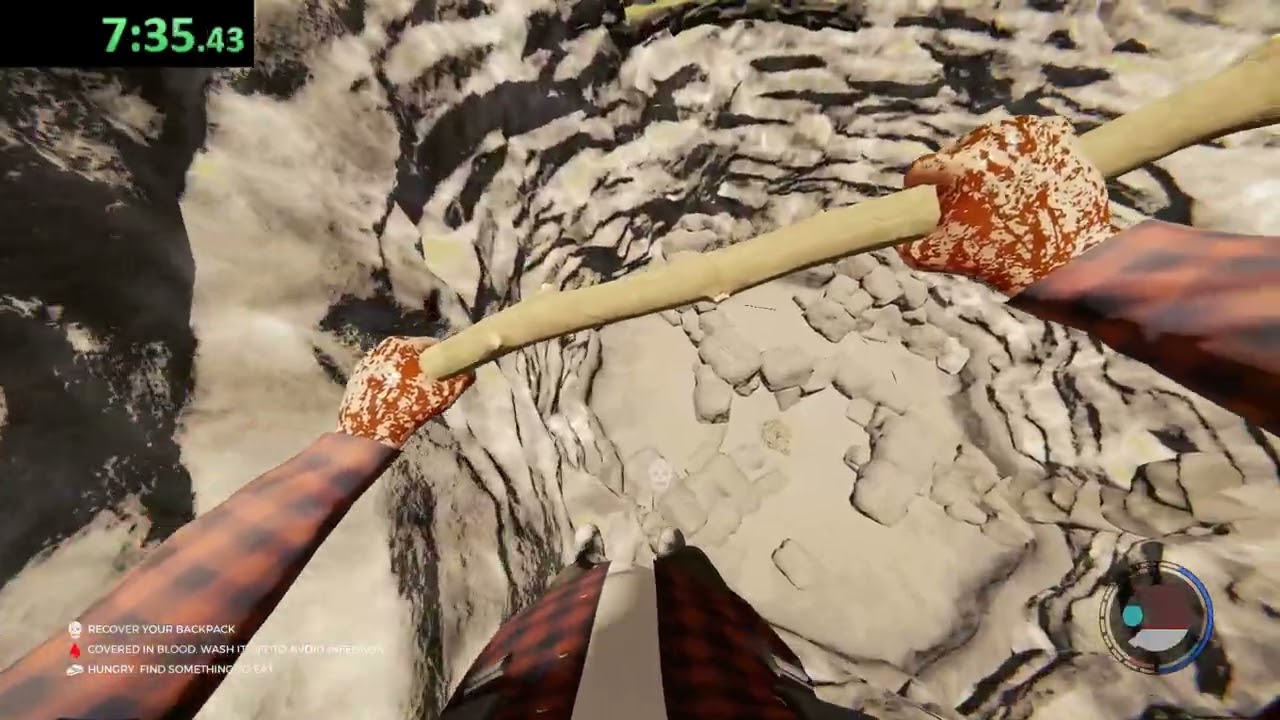 The Forest Coop Any% Glitchless Peaceful 17:05 WR