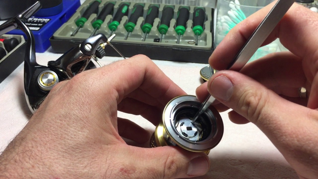 Shimano Stella 2500 FE. 10 ( в чем отличия от JDM, краткий обзор, мифы и реальность ) Часть 1