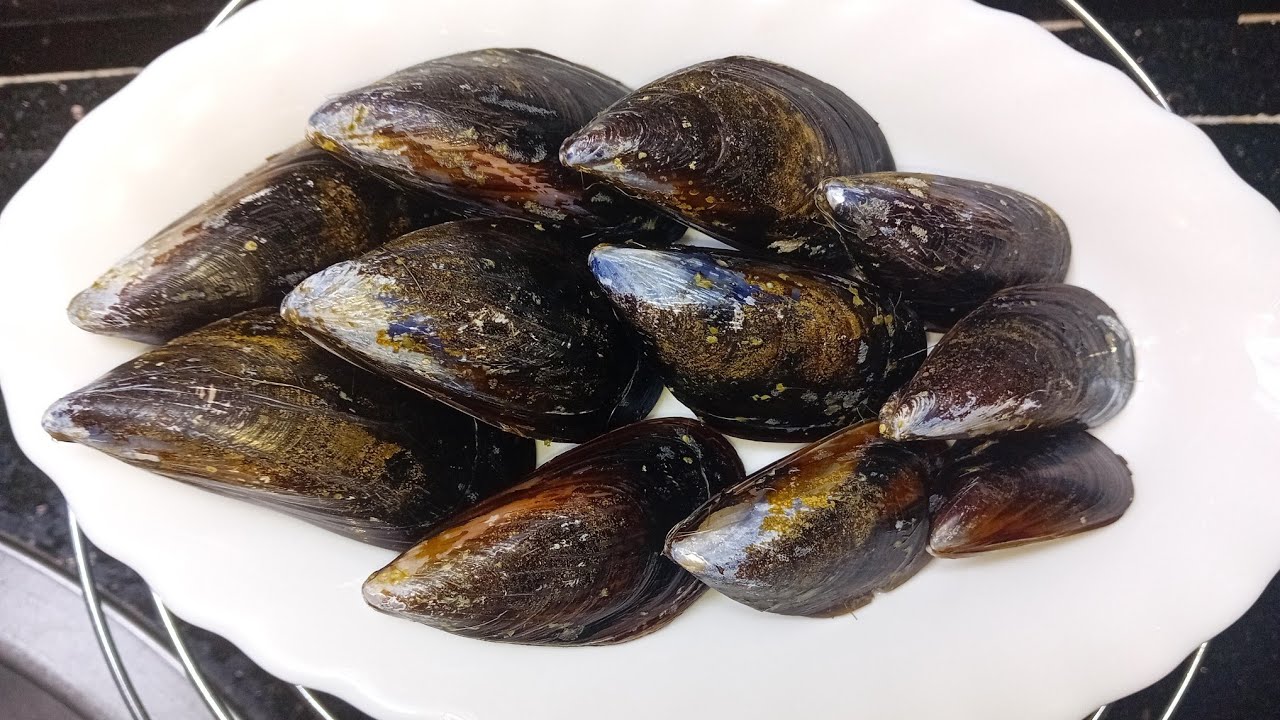 المطبخ الزمني التونسي🇹🇳#الطريقة الصحية لتنظيف بلح البحر  #COMMENT LAVER LES MOULES