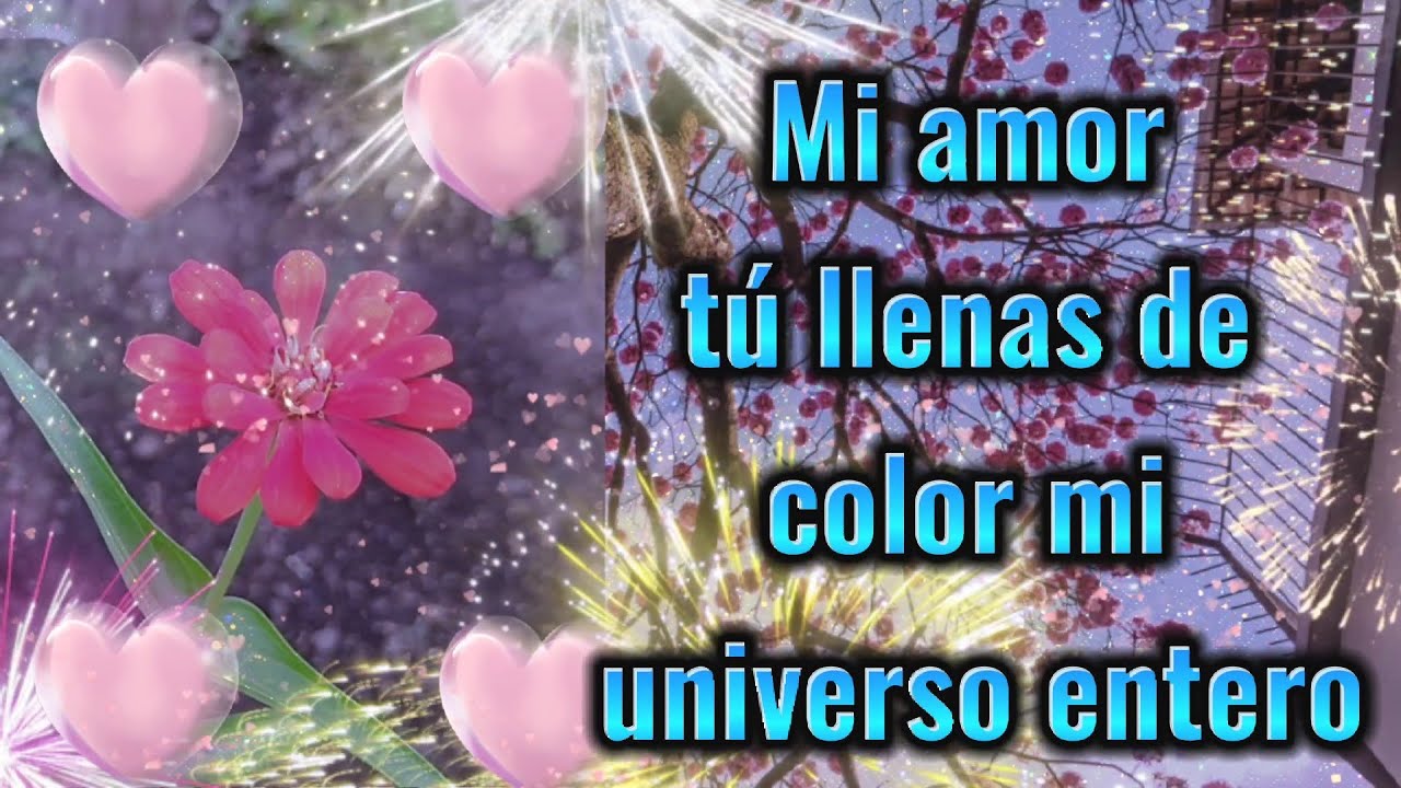Mi amor tu llenas de color mi universo entera, Feliz Noche, Buenas noches