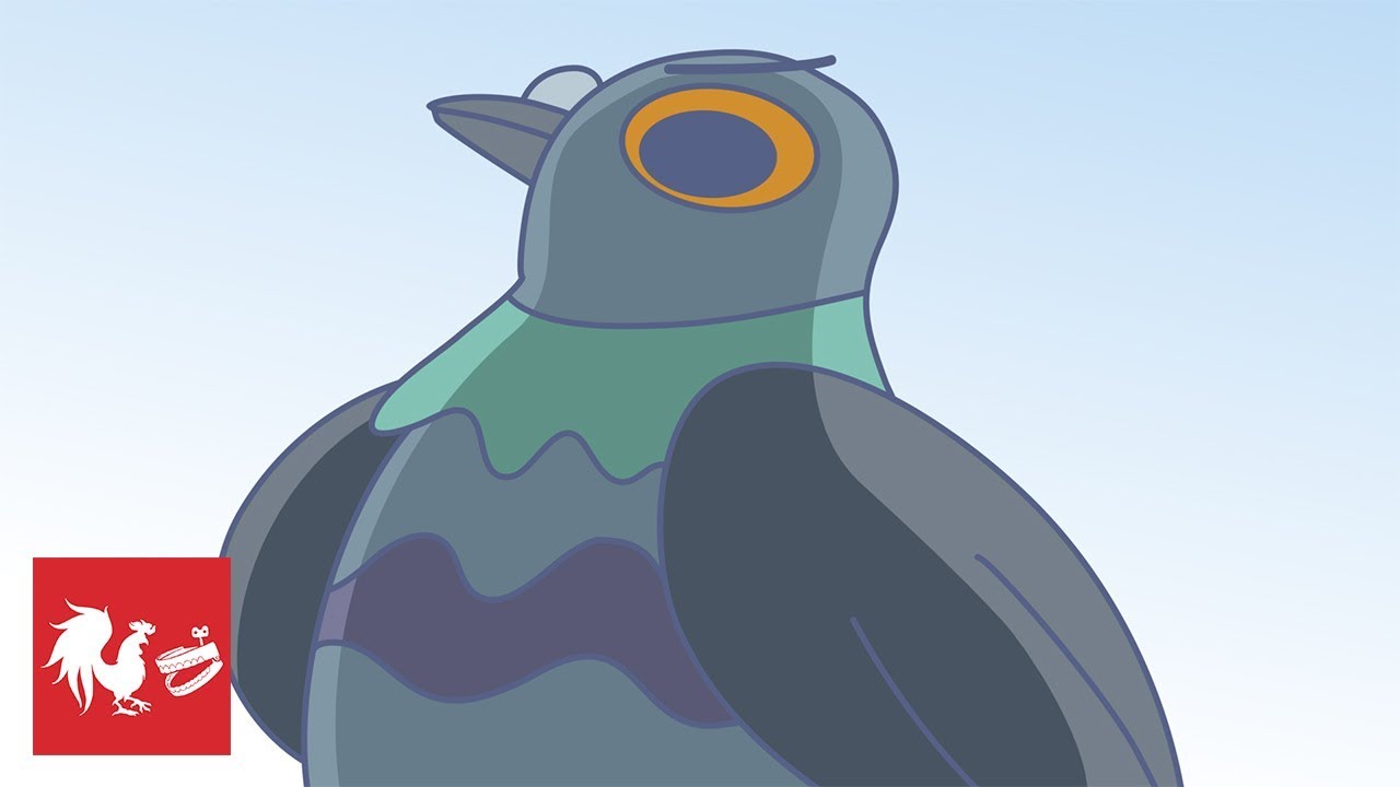The Scarier Pigeon - Rooster Teeth Animated Adventures