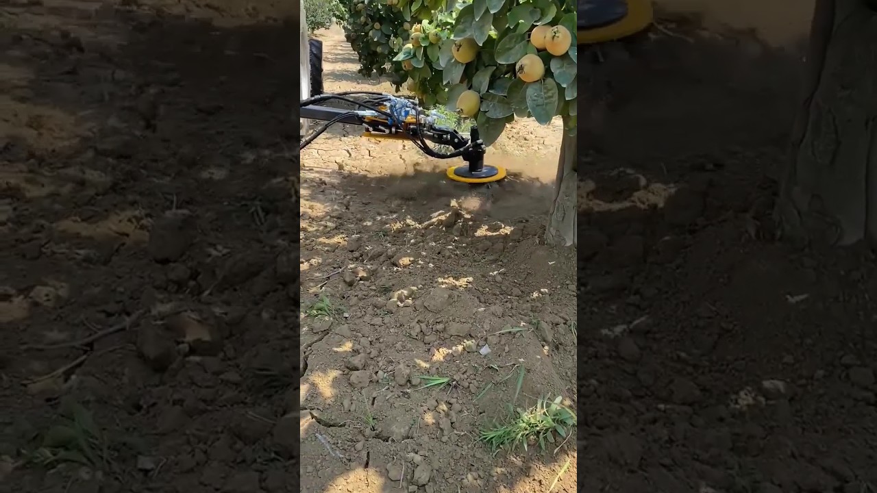 inRow Rotary Cultivator For Weeds Between The Rows || Made By Kadioglu Makine Turkey || 