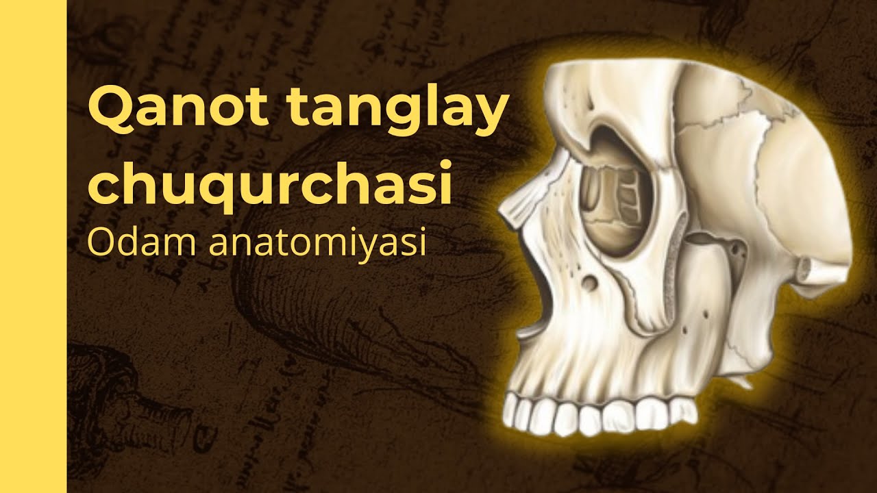 QANOT TANGLAY CHUQURCHASI - FOSSA PTERYGOPALATINA