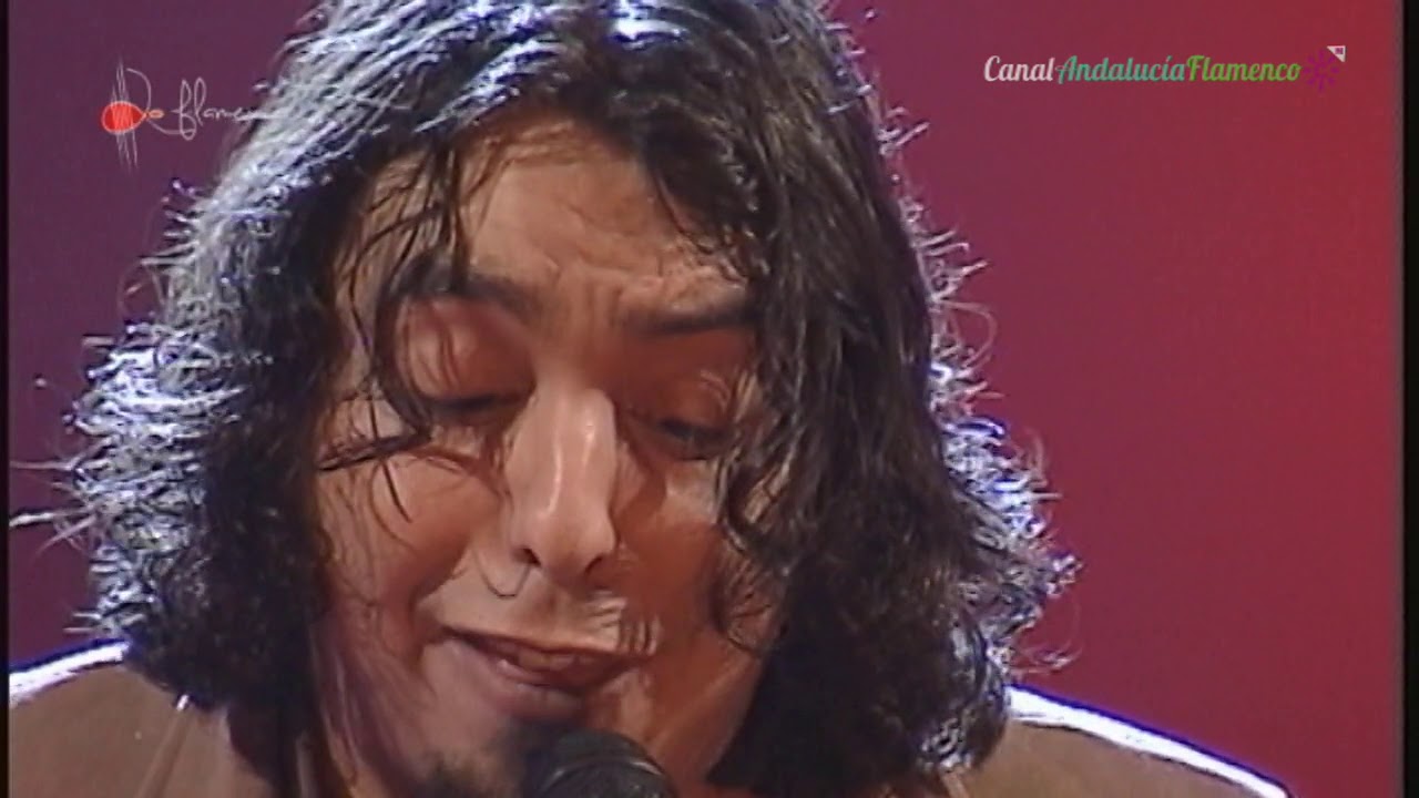 Bulerías. El Potito. 2005