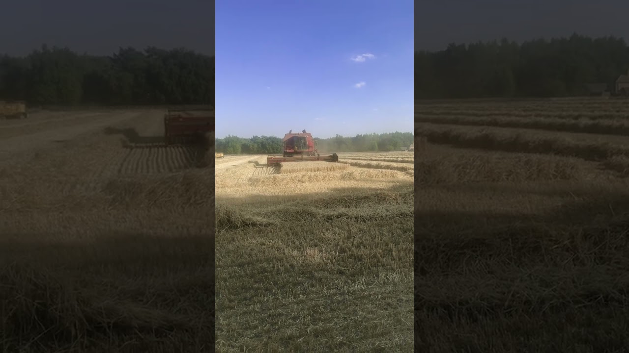 Harvest done