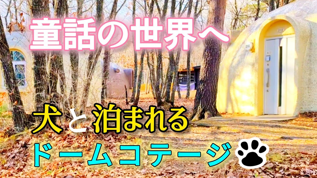 犬と泊まれる！童話のドームコテージ【エンゼルフォレスト白河高原】