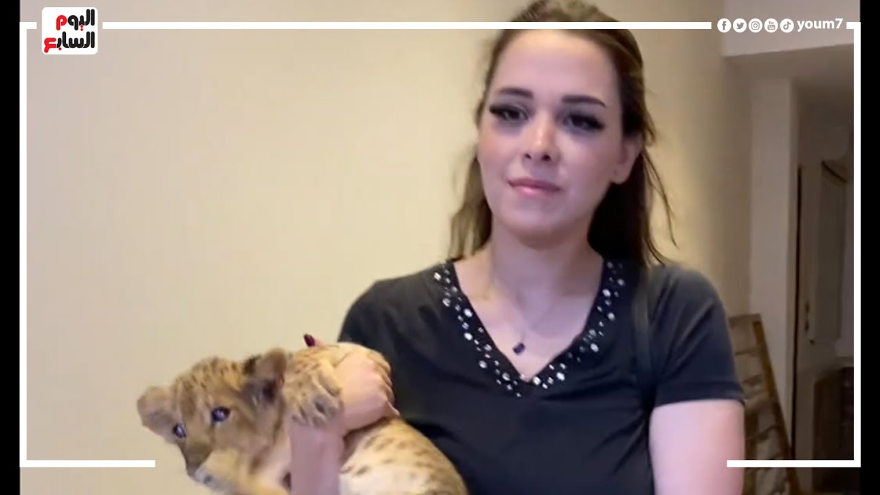 أتبنت أسد وبتربيه مع أبنها..  مدربة الأسود أنوسة كوتة: كان نفسى ربنا يرزقنى ببنت ورزقني بـ
