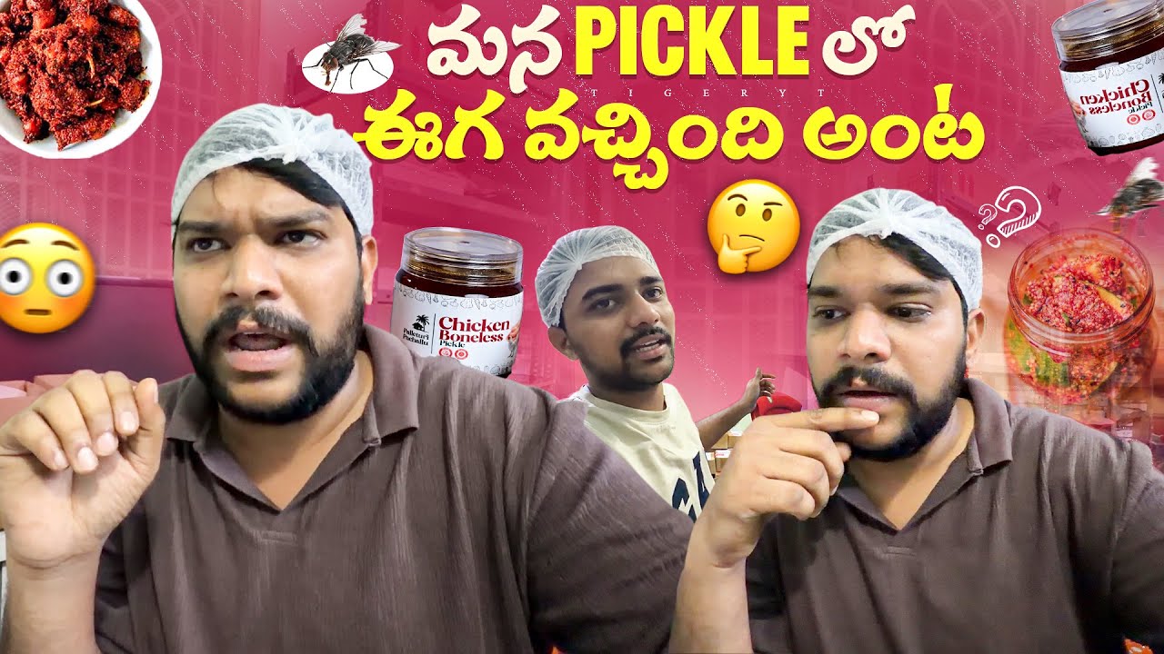 💢మాయా మన pickle లో ఈగ 🪰 వచ్చింది అన్నారు మీరే చూడండి 😮 #dailyvlog #food #shorts #telugu 