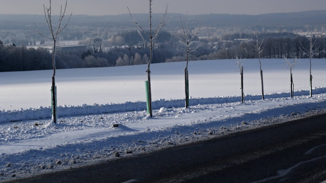 Únor bílý, pole sílí | Rok zemědělce