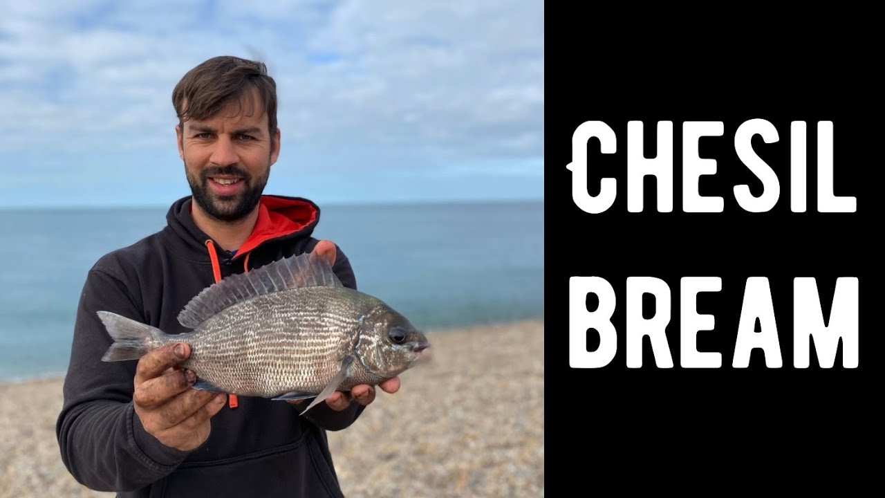 Chesil Fishing…. Portland Bream Fishing