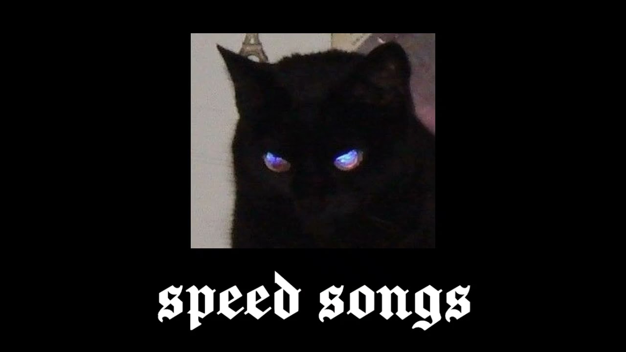 agora que eu tô sozinho nesse mal caminho - speed up
