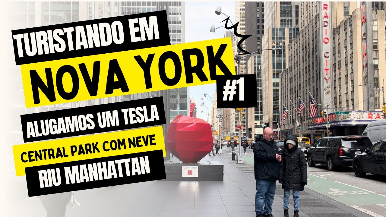O que fazer em Nova York - 1 - Hotel RIU Plaza Manhattan, Central Park com neve, Tesla e mais!