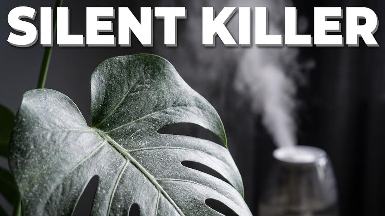 Warm vs. Cool Mist: The Fatal Mistake for Indoor Jungles