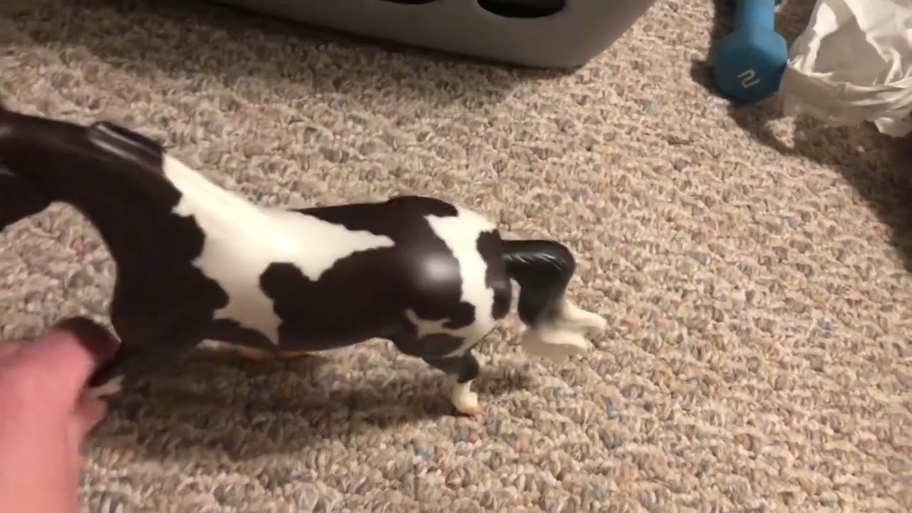 Unboxing the pinto