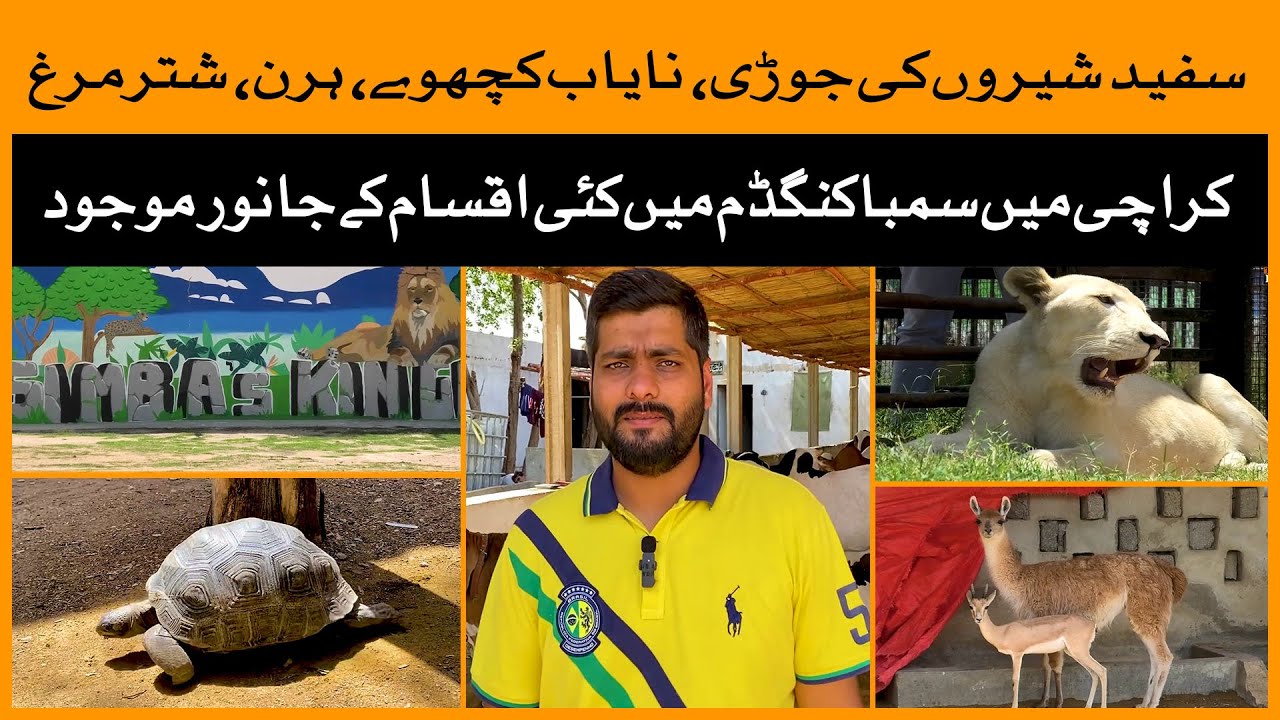 Karachi's Simba Kingdom Wildlife Park | Karachi | Simba Kingdom | Zoo in Karachi | Wadi e Hussain
