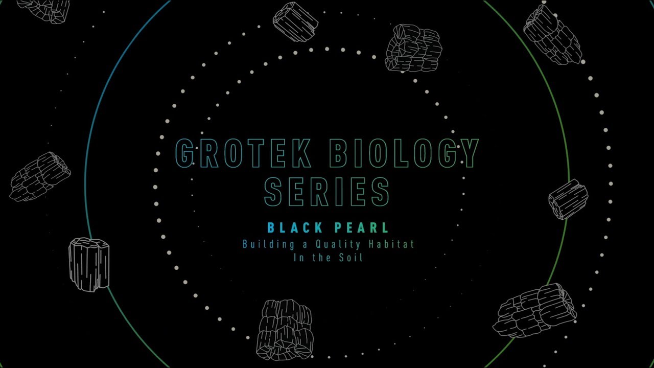 GROTEK BIOLOGY SERIES - BLACK PEARL