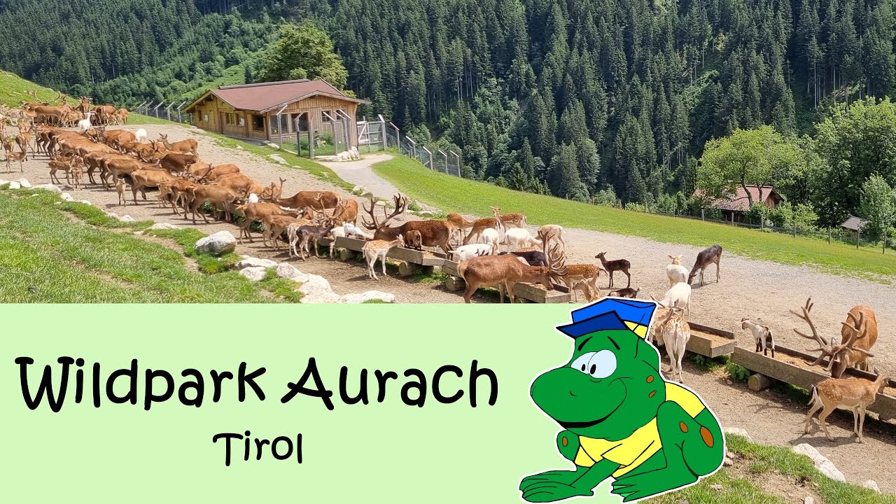 Wildpark Aurach, zomer 2024