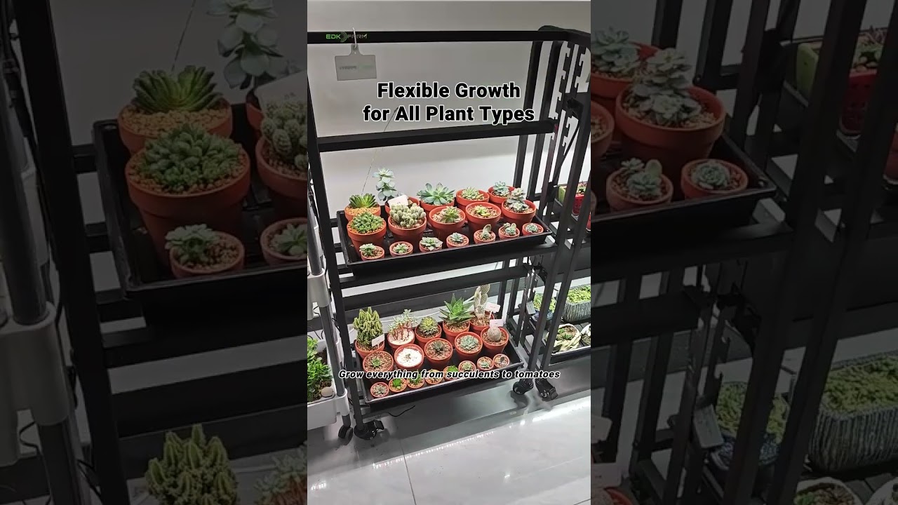 Maximize Space with Square Plant Stands