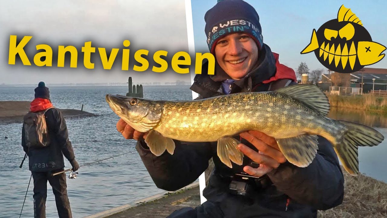 Streetfishing in Hellevoetsluis met Toon van Ham! Zo vang jij in de winter vanaf de kant!