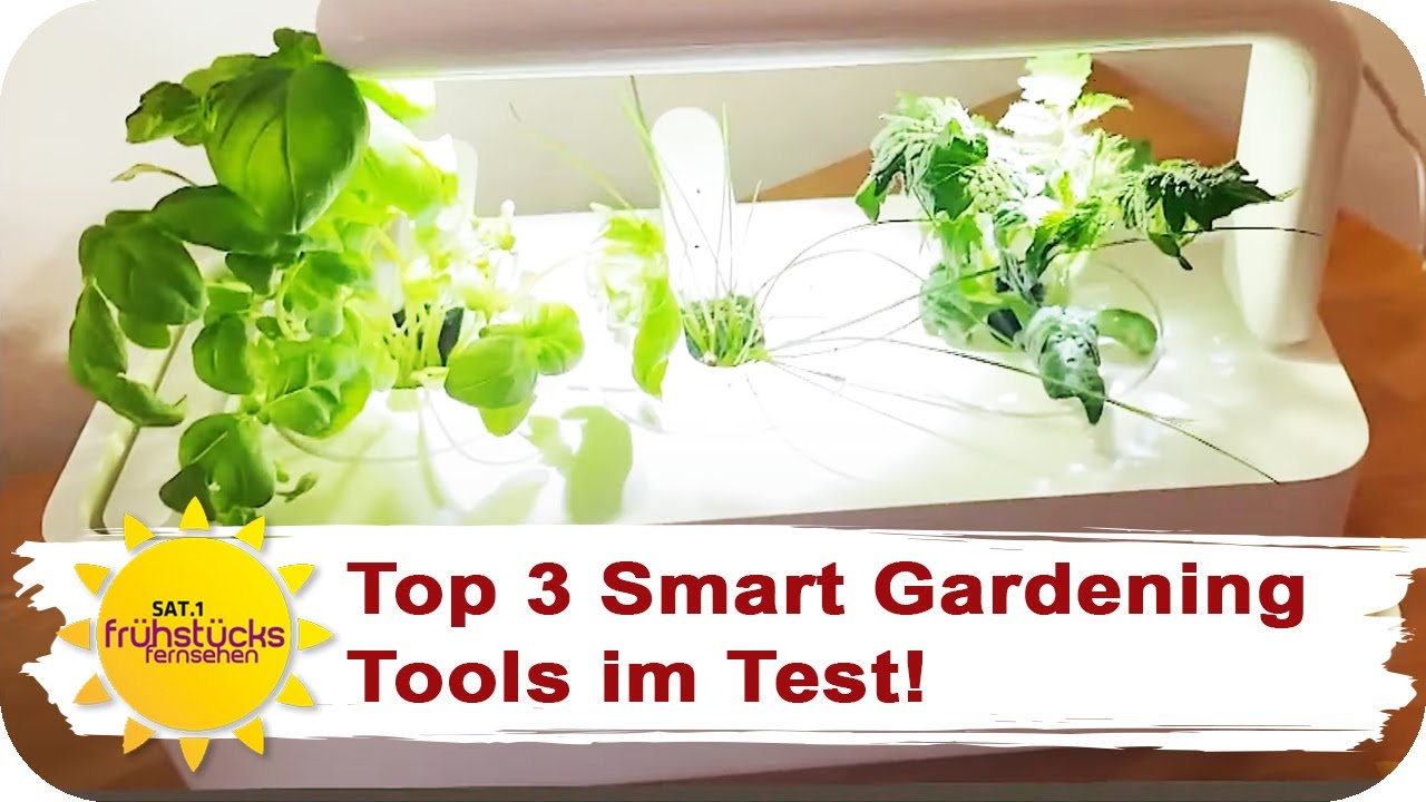 Der große Indoor Garten Test: Kräuter anbauen für Gartenmuffel! | SAT.1 Frühstücksfernsehen