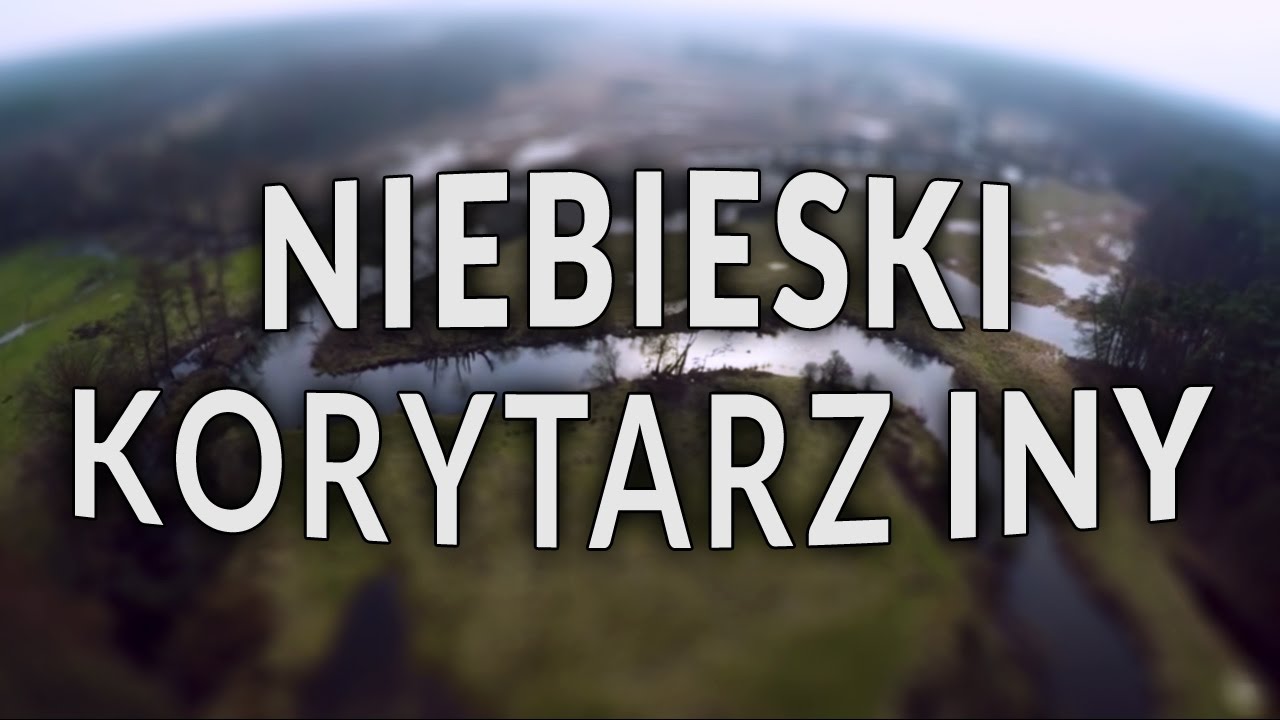 Niebieski Korytarz Iny
