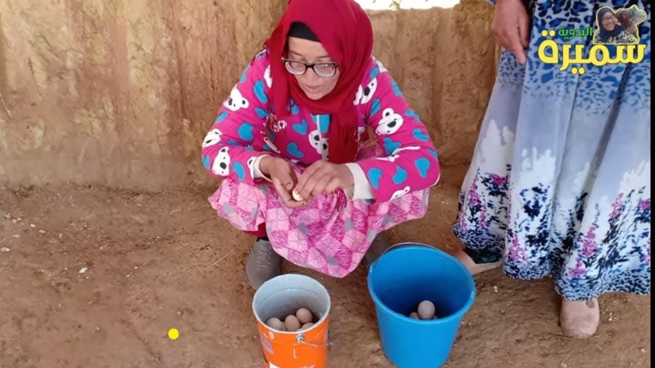 حصيلة يومية للبيض ونتيجة التوت لي عطات سميرة للدجاج ديالها مع بزاف دالمفاجئات تابعو معنا الجزء 2