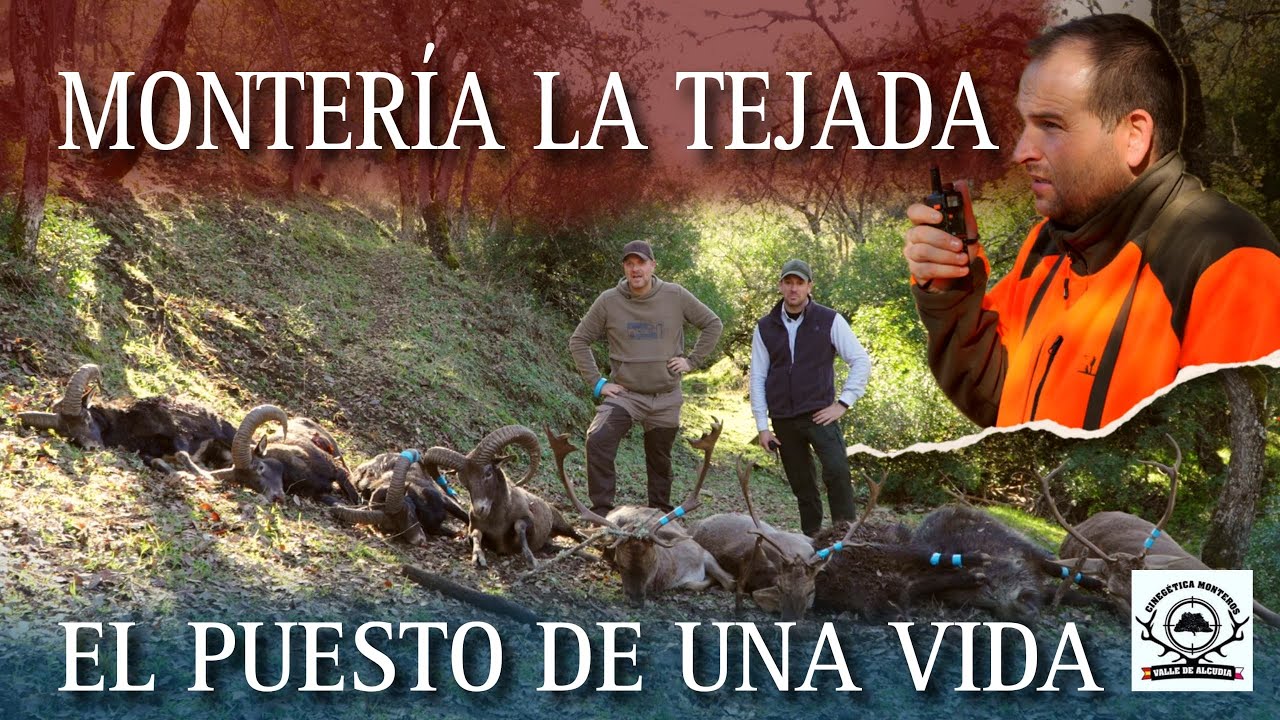 MONTER&Iacute;A LA TEJADA Y EL PUESTO DE UNA VIDA  //  ORGANIZADA POR: MONTEROS VALLE DE ALCUDIA