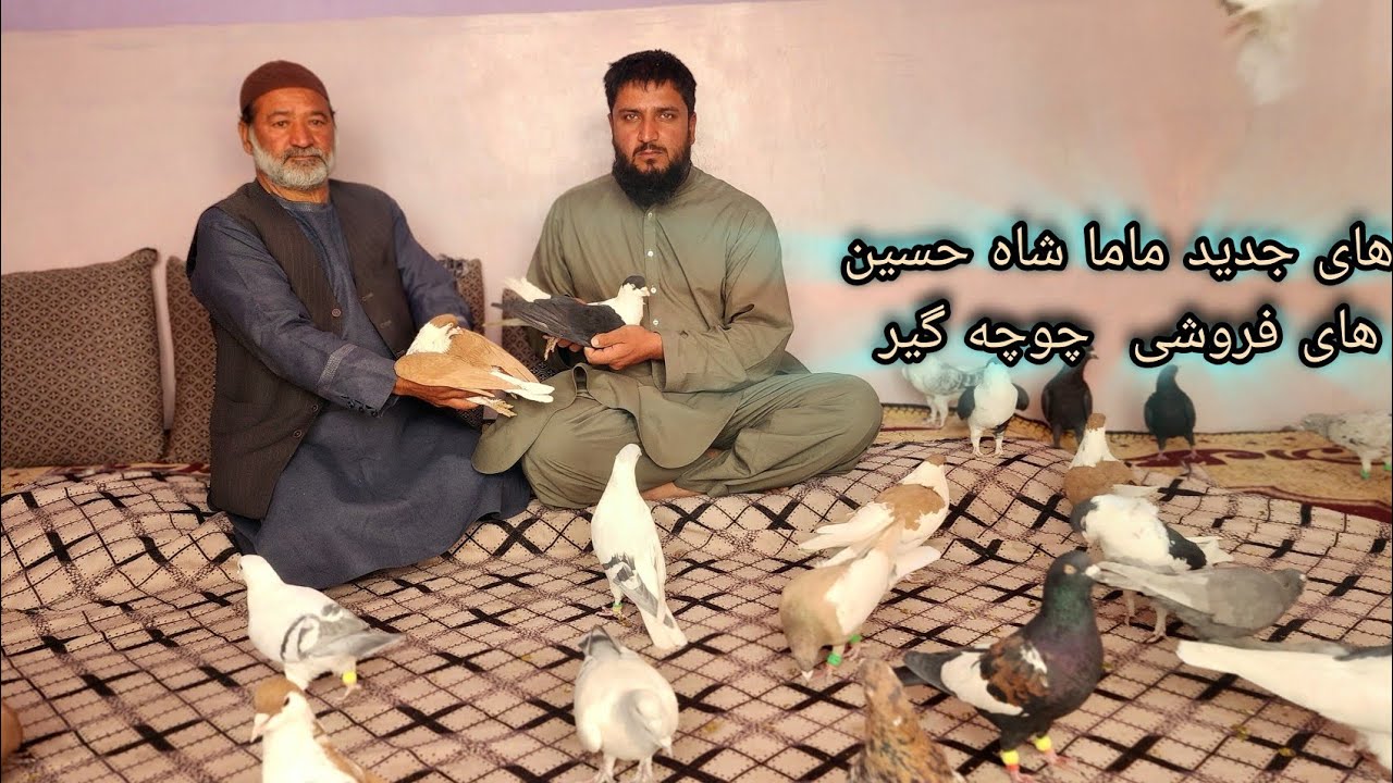 برنامه های جدید ماما شاه حسین 