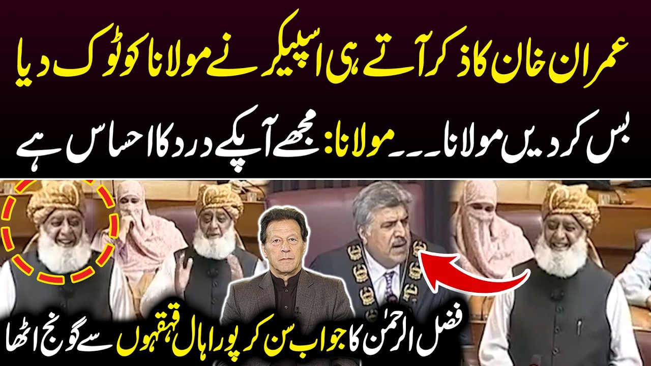 Maulana Fazal Ur Rehman's Hilarious Reply to Speaker on Imran Khan | National Assembly | Public News