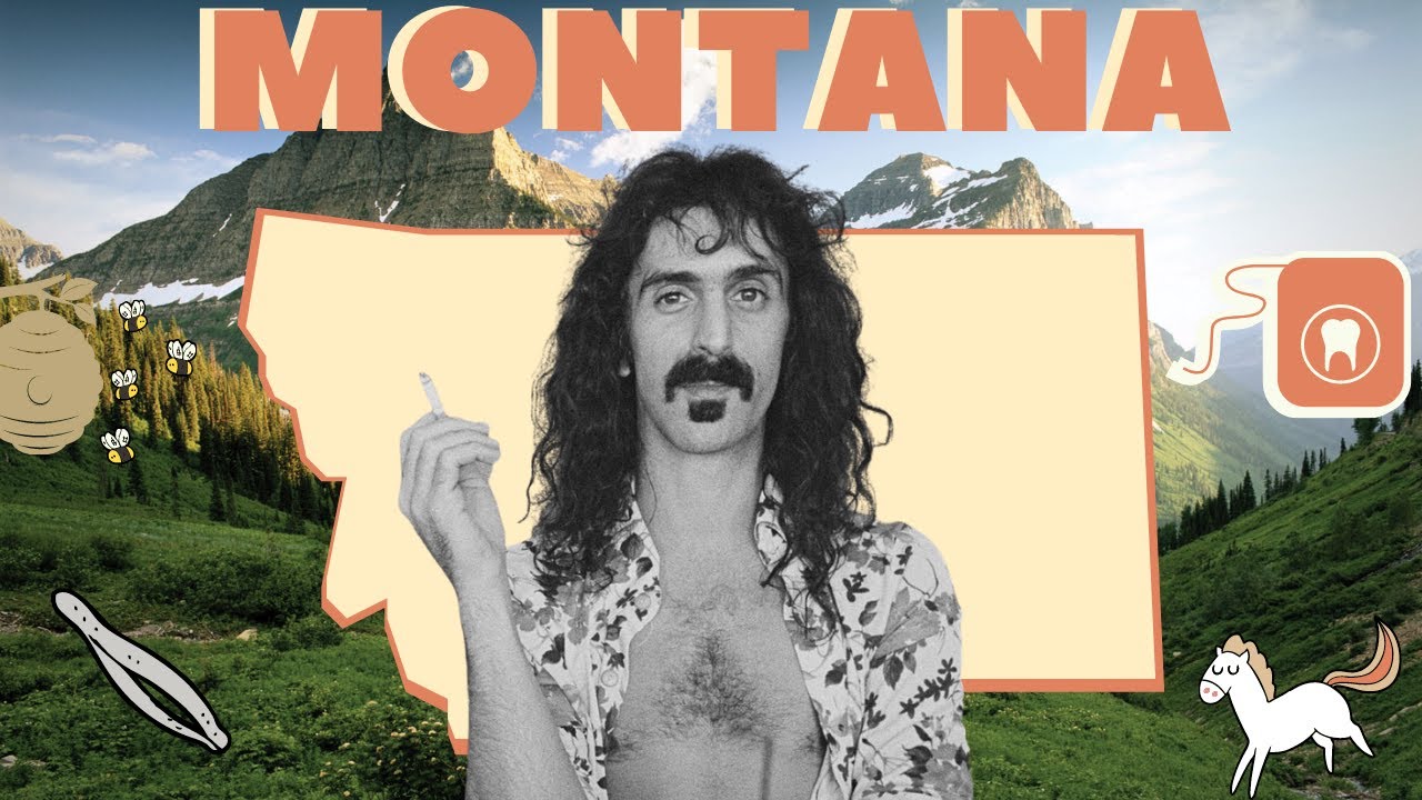 A Breakdown Of Frank Zappa's 