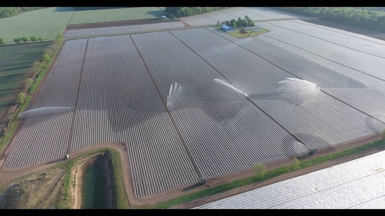 Bauer Travellers Irrigating: Drone View
