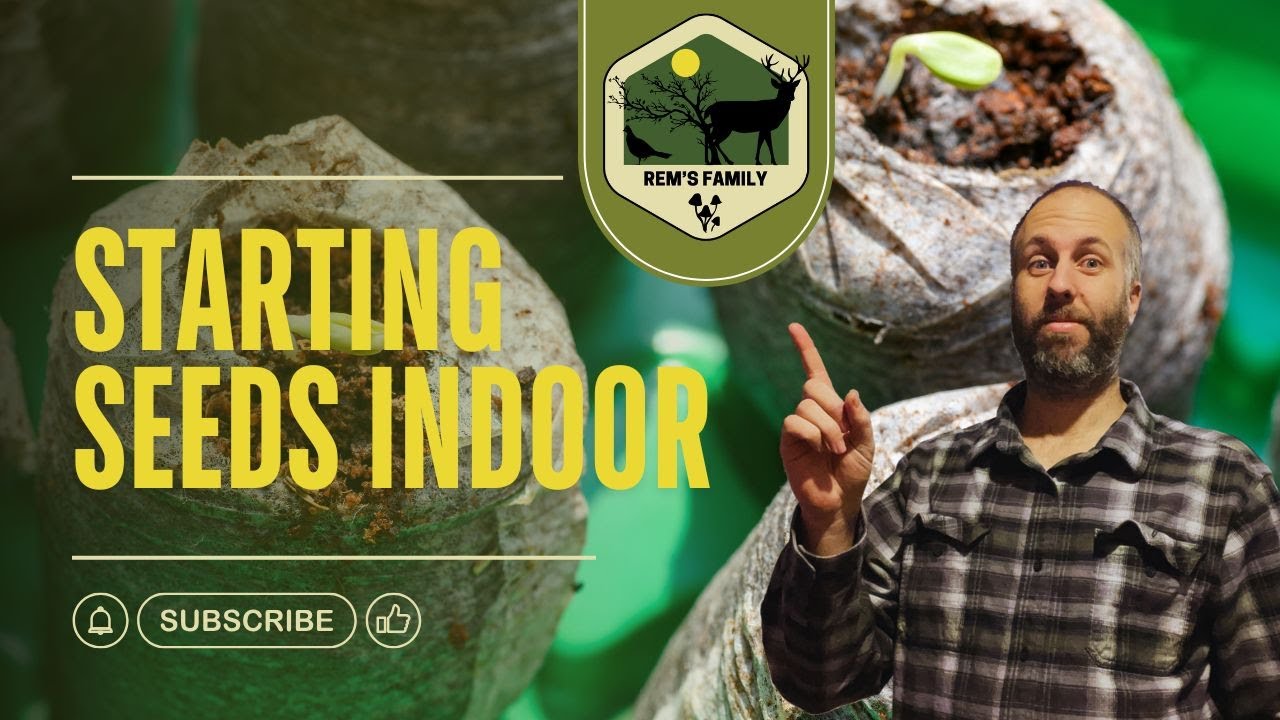 How to Use Jiffy Peat Pellets | Easy Seed Starting Guide for Beginners