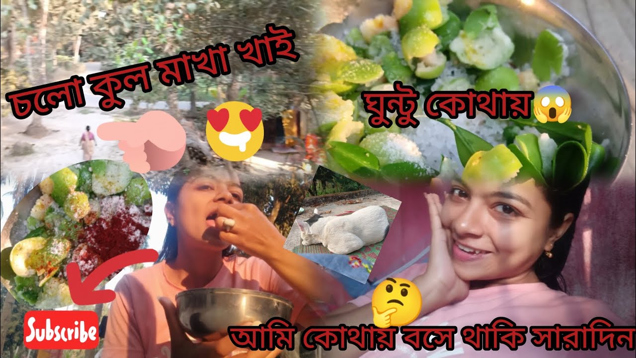 ঘুন্টু কোথায়😱আমি সারাদিন কোথায় থাকি🧐চলো কুল খাই🤤#viral#lifestyle#viralvideos#everyone#vlog#bengali