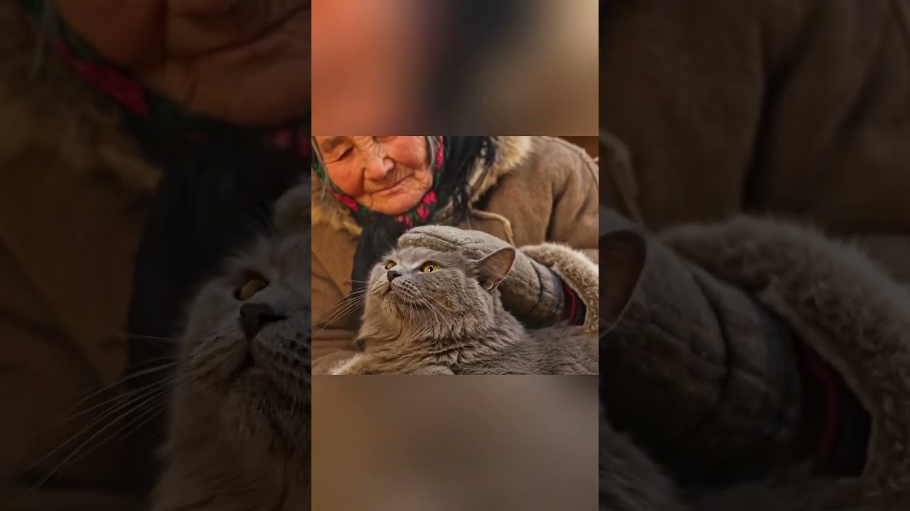 -71&deg;C ❄️ Widow Saves Newborn Kittens with Tiny Wool Sweaters#snow #winter #camping #survival#forest