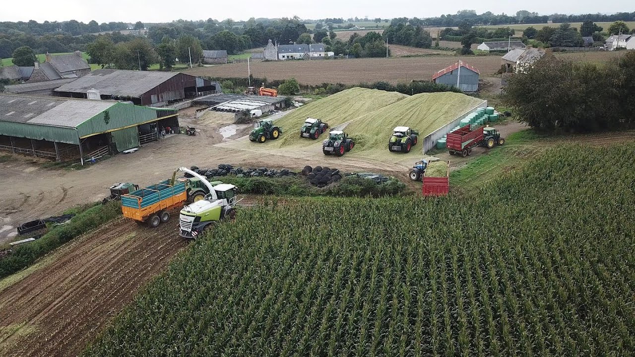 🤠ENSILAGE DE MAÏS 2024 🌽