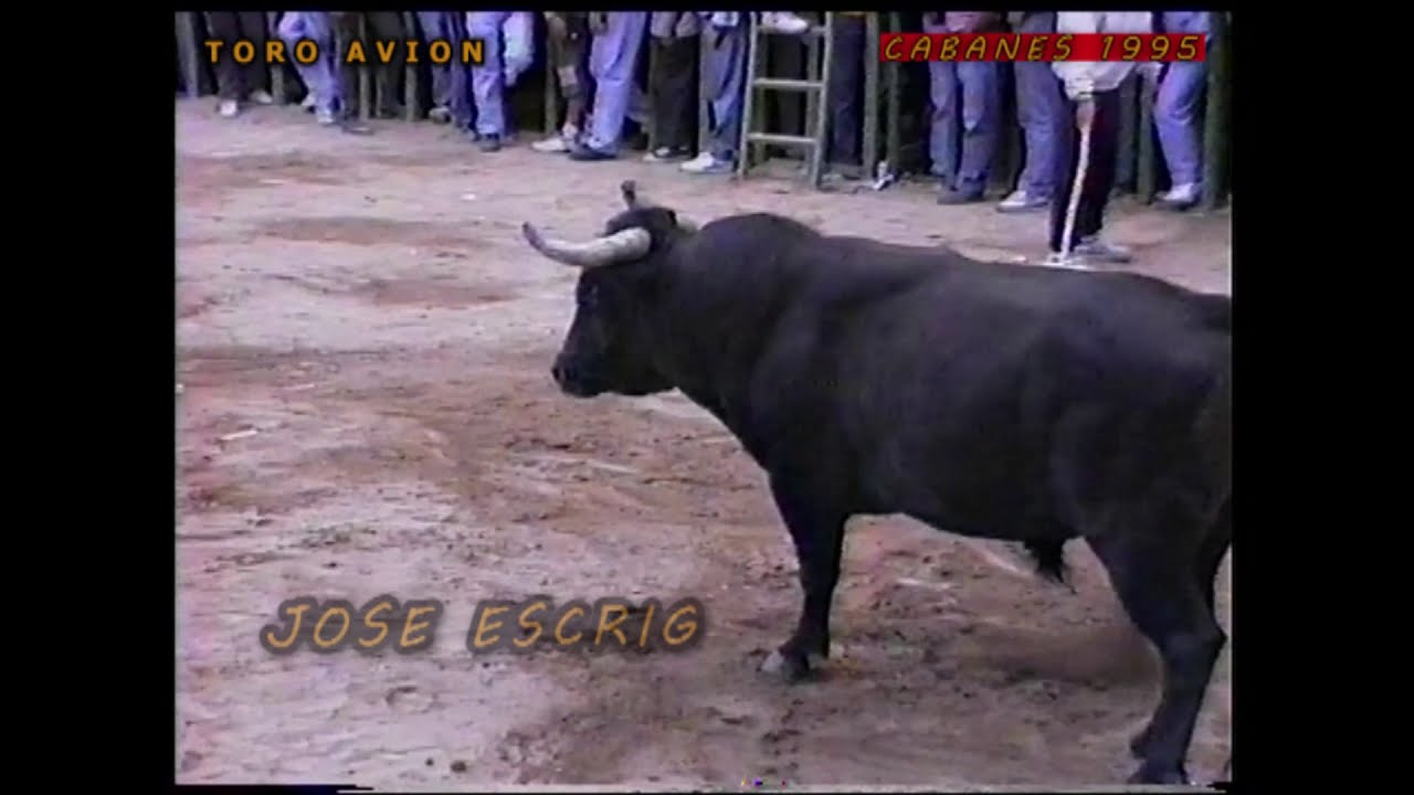 TORO AVION DE GERMAN VIDAL CABANES 1995